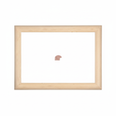 1/2 Caña - BOLA CHICA Moldura de Madera de Pino de Primera, Linea para Marco, Tipo Plana, de 19mm de espesor x 025mm de ancho. sin Textura, sin Acabado.